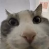 images.steamusercontent.jpg