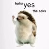 aDXZRGRl_700w_0.jpg