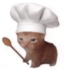 cat-huh.gif