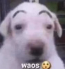1750307845184.png