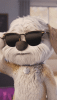 lower sunglasses.gif