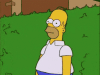 Homer-Hide-in-bush.gif