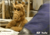 alf-number2.gif