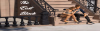 1699285435118.png