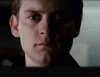tenor.gif