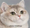 aXaBLbYq_700wv_0.gif