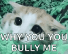 547feb0b6ffca2833a1b4bafb2b6b827.gif