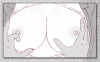 ss-5.png