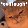 1750945436898.png