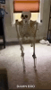 skeleton-drop.gif