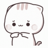 IMG_3937.gif