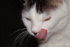 1751137503274.png