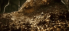 fafo.gif