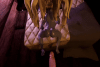 1751216936094.gif 1751216936094.gif