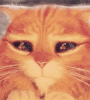 puss-in-boots-eyes.gif
