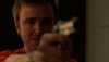 243.gif