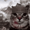 staringsoldiercatok.gif
