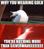 Silverwaregull.jpg