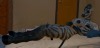 1751514688802.png