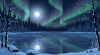 background (2).png