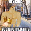 1677376558454.png