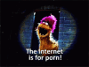 Internet is for porn.gif
