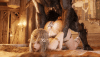 AzureLotus .gif AzureLotus .gif