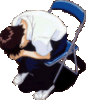 shinji.gif shinji.gif