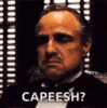 godfather-marlon-brando.gif