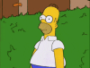 homer-im-out.gif