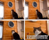 1751878602026.png
