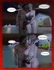 Page 026.jpg