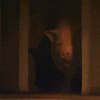 pig-room.gif