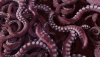 tentacles.gif