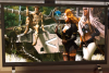 Screenshot 2025-07-08 173057.png