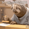 sloth-slow.gif