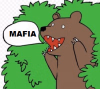 wiabear.png