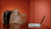 1706860651006.gif