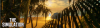 Beach_02b.png