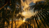 Beach_01.png
