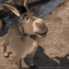 no-shrek-donkey.gif