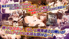 Screenshot 2025-07-12 161929.png