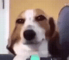 aGXPBa5X_700wv_0.gif