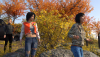 autumn_by_abere_lucifer_di8is45.png