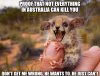 not-everything-in-australia-can-kill-you.jpg