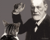 freud and cat feeling sleepy playing with watch toy thing.gif