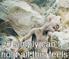 in-my-feels-cant-hold-it-all.gif