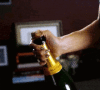 1000021831.gif