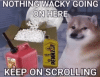 normal-doggo.gif