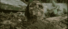 IMG_4871.gif